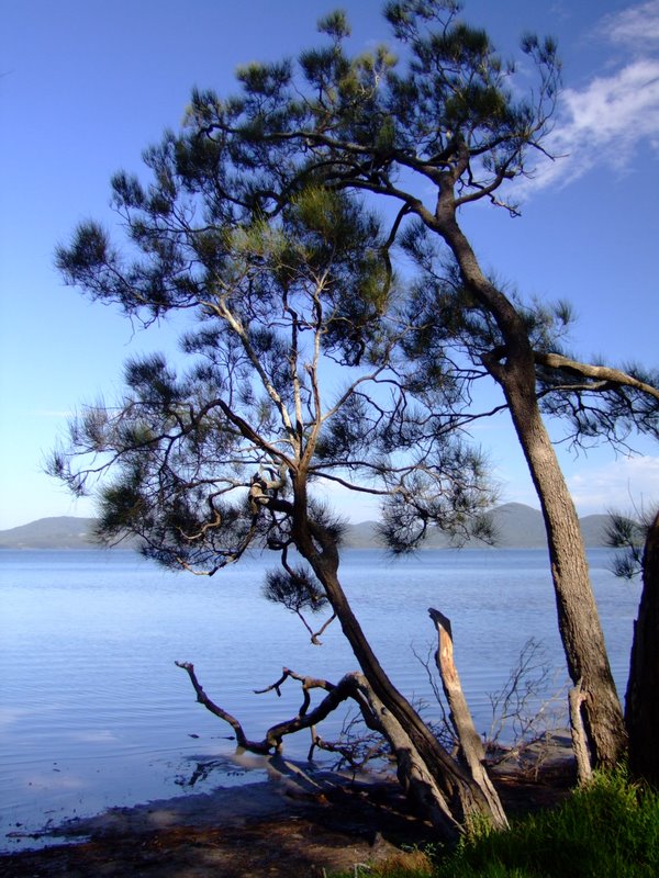 Our camp spot by the lake - Forster